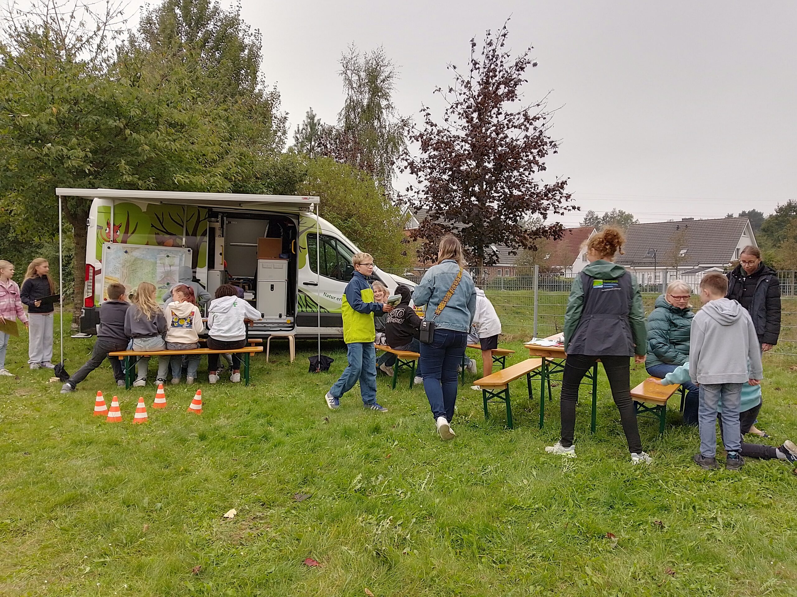 Schüler werden zu Knickforschern