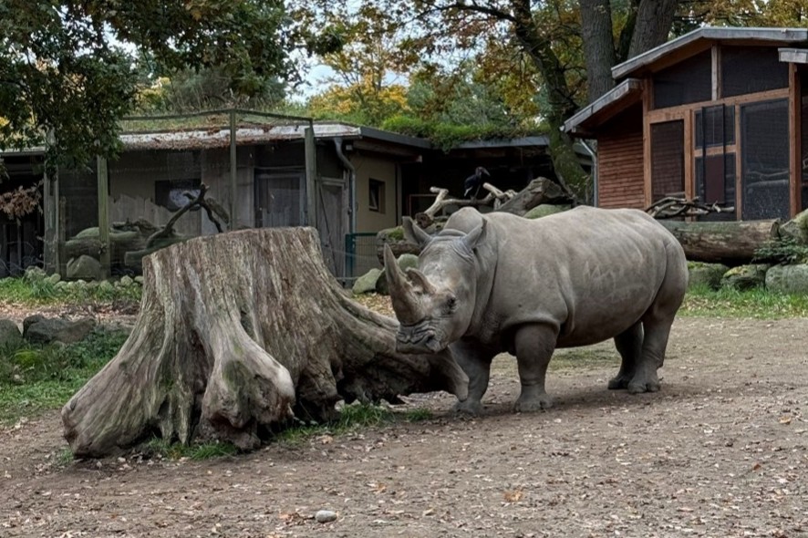 Medien trifft Natur – unsere Radiosendung aus dem Zoo Schwerin